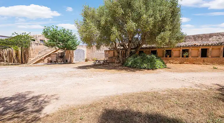 Manor house in El Palmer