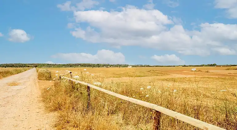 Cottage in El Palmer