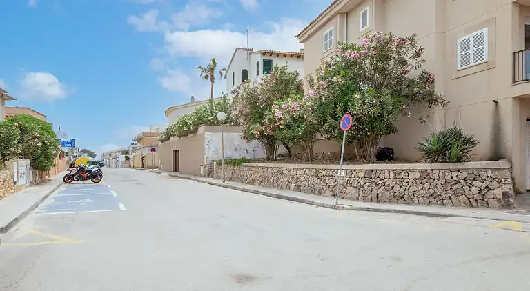 Manor house in El Palmer