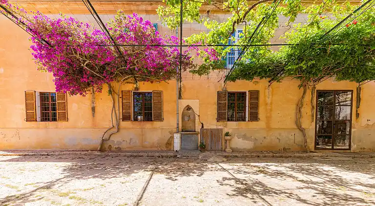 Manor house in El Palmer