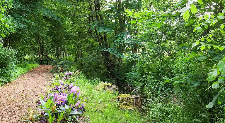 Holiday home in Roslev