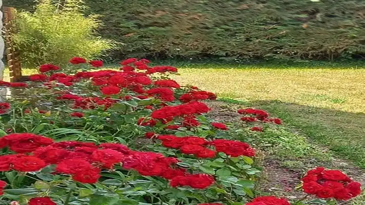 Holiday home in Andel