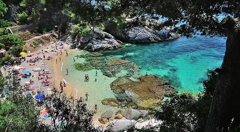 Bel Appartement, Piscine et Plage