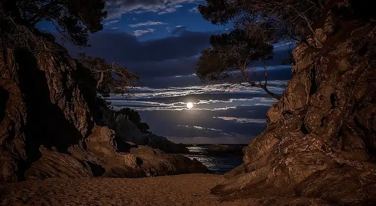 Bel Appartement, Piscine et Plage