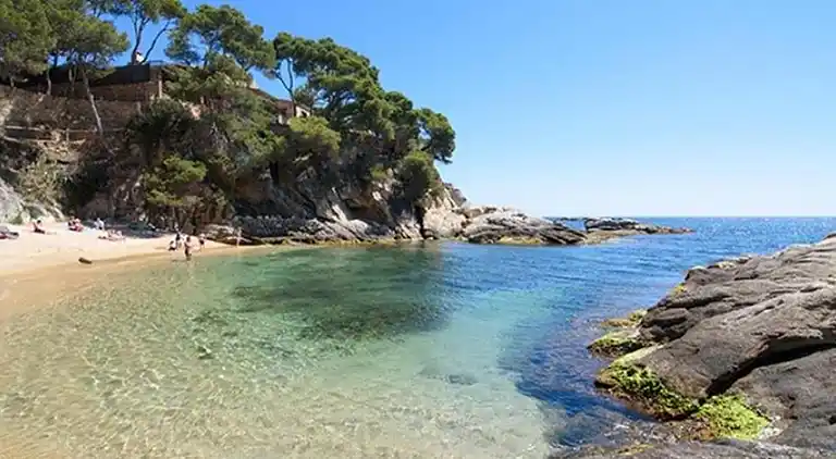 Bel Appartement, Piscine et Plage