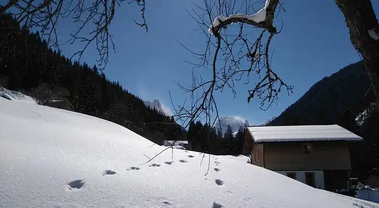 Lägenhet i Reutehorn