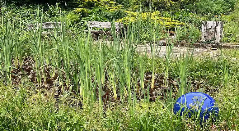 Ferielejlighed i Sellericherhöhe