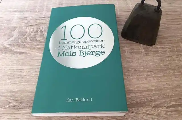 Holiday home in Knebel