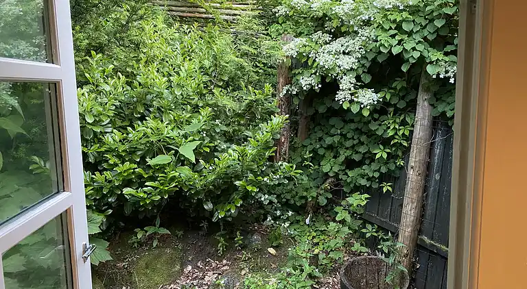 Idyllisch gelegenes Holzhaus an Wald und See