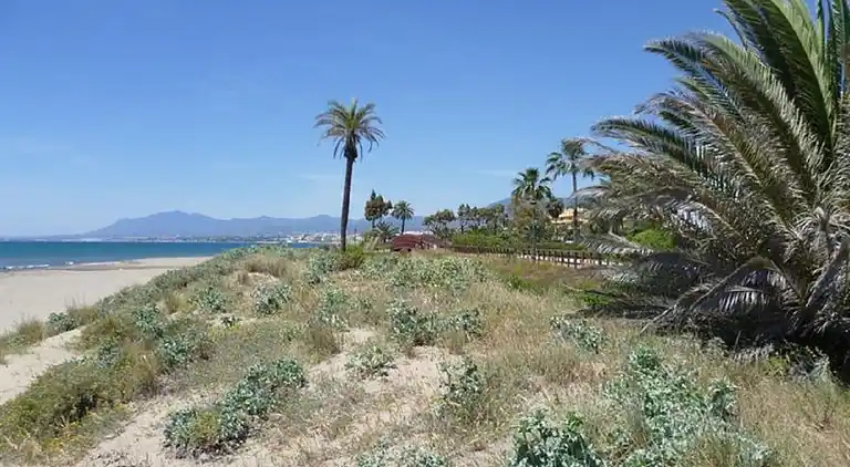 WONDERFUL PENTHOUSE LOS MONTEROS BEACH