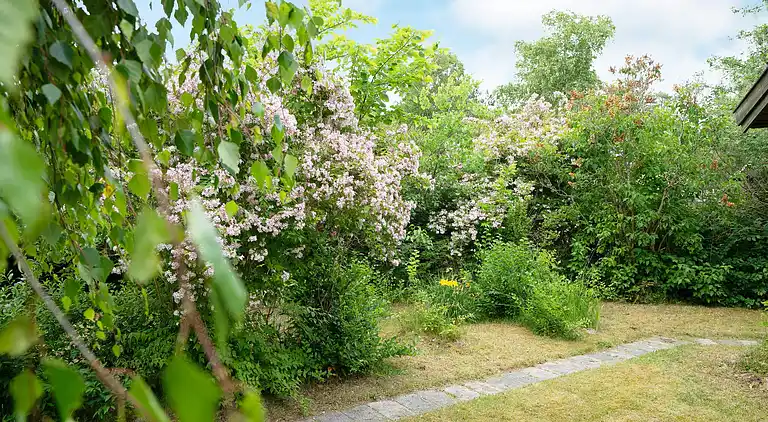Holiday home in Ellinge Lyng