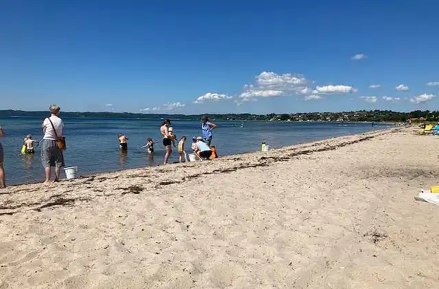 Sommerhus ved Vibæk Strand