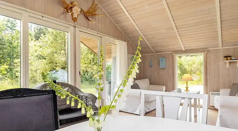 Sommerhus i Ho