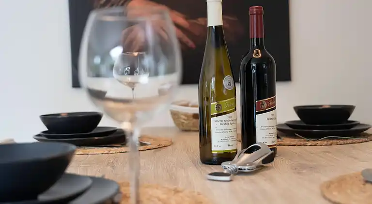 Vakantiehuis in Hattemerbroek