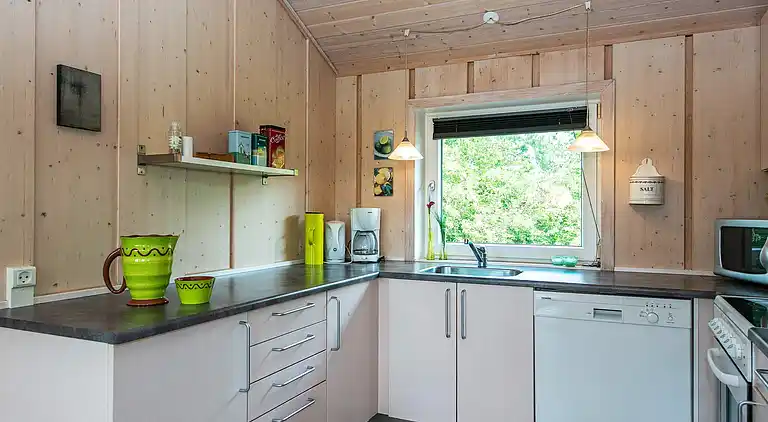 Feriebolig i Bork Havn