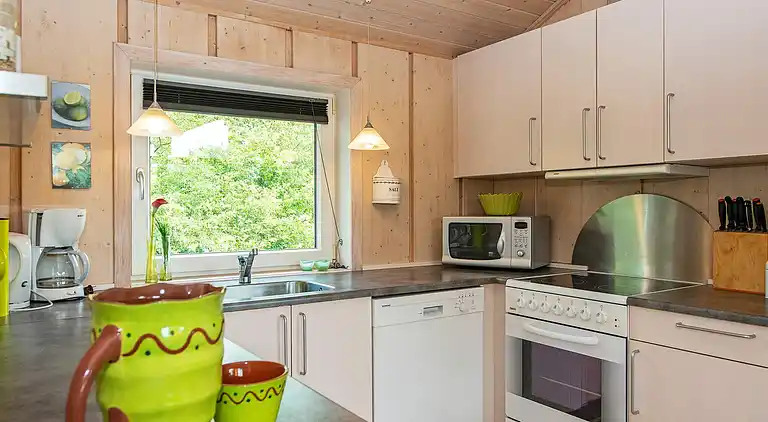 Feriebolig i Bork Havn