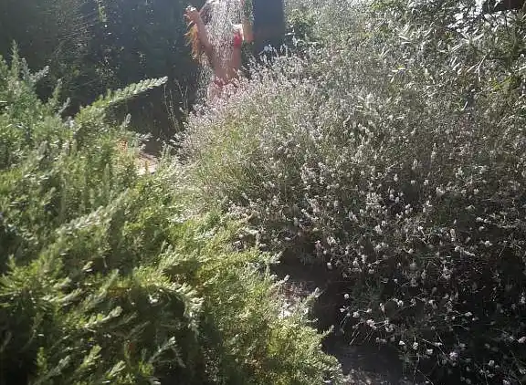 Villa Lavanda Todi, property with private pool in Umbria