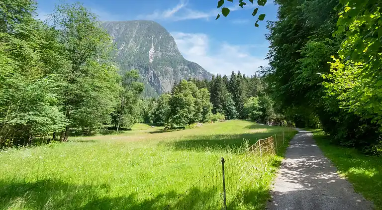 Sommerhus i Habichen