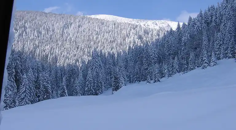 Ferielejlighed i Roncegno