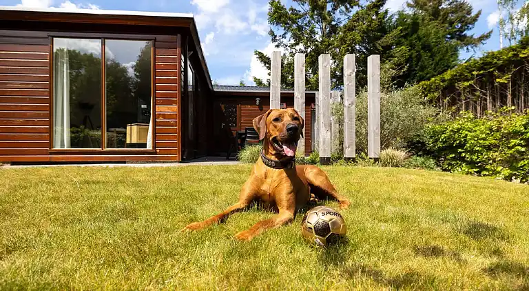 Cottage in Harderwijk