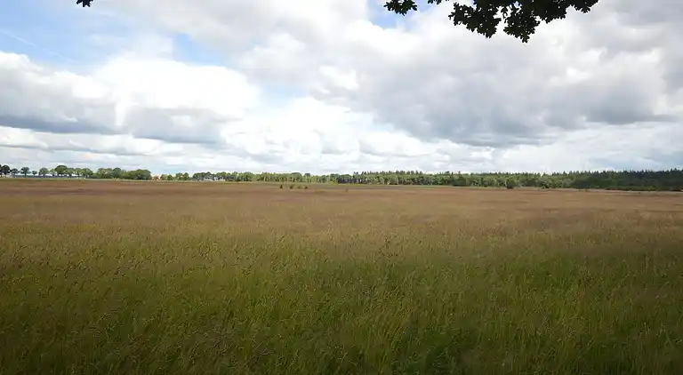 Vakantiehuis in Lemele