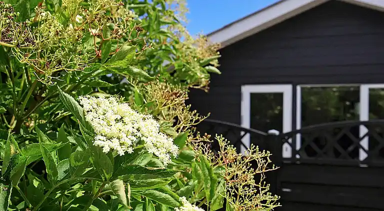 Feriebolig ved Nr Lyngby Strand