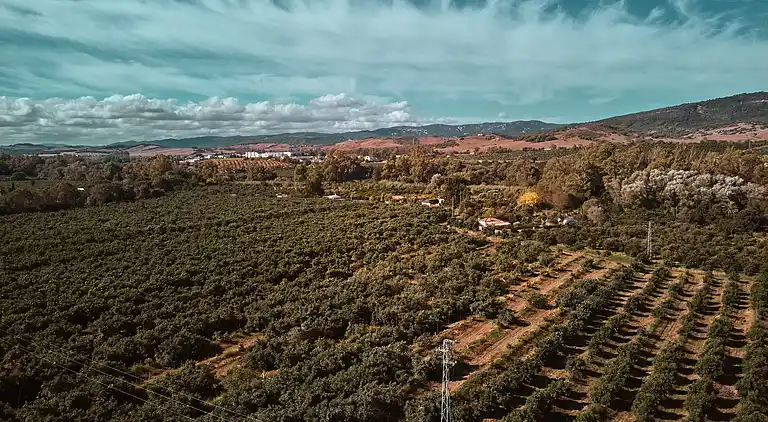 Gårdshus i Jimena de la Frontera