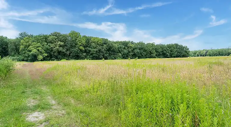 Vakantiehuis in Exloo