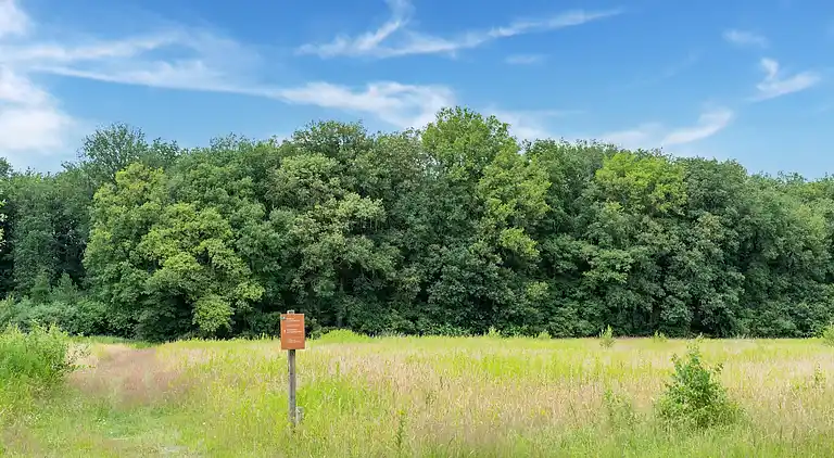 Vakantiehuis in Exloo