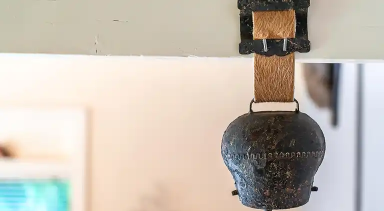 Vakantiehuis in Exloo