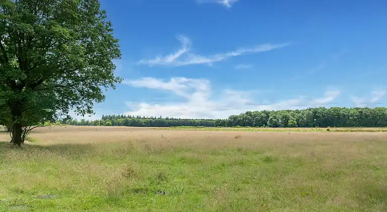 Vakantiehuis in Exloo