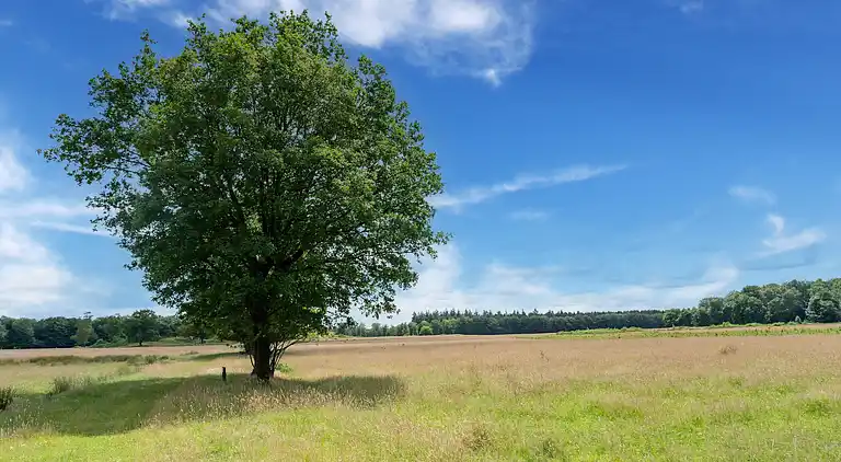 Vakantiehuis in Exloo