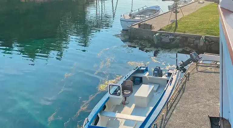 Holiday home in Bokn Municipality