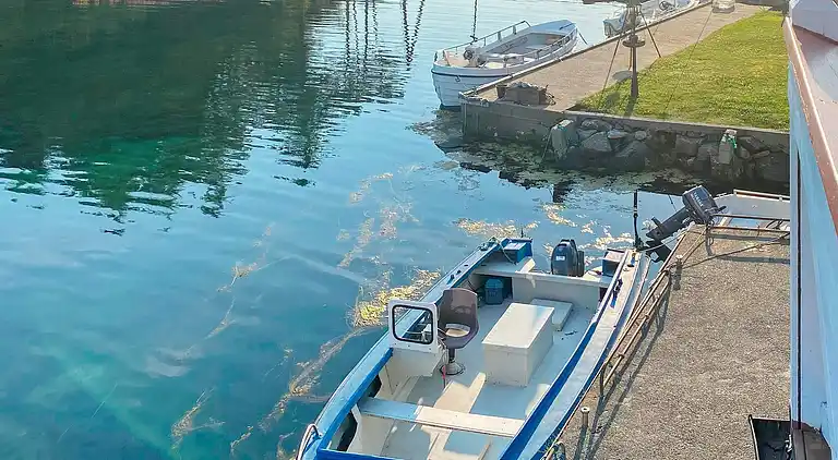 Holiday home in Bokn Municipality