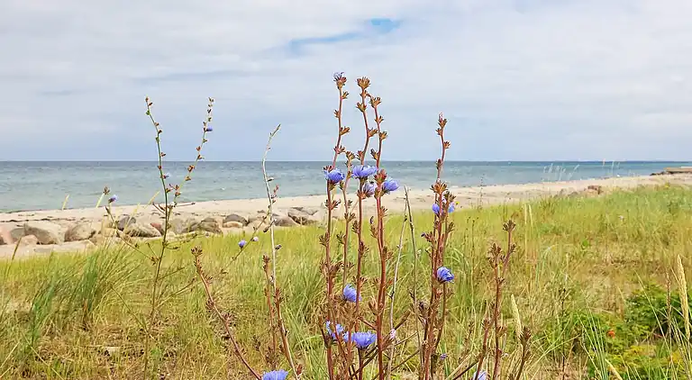 Casa vacanze in Otterup