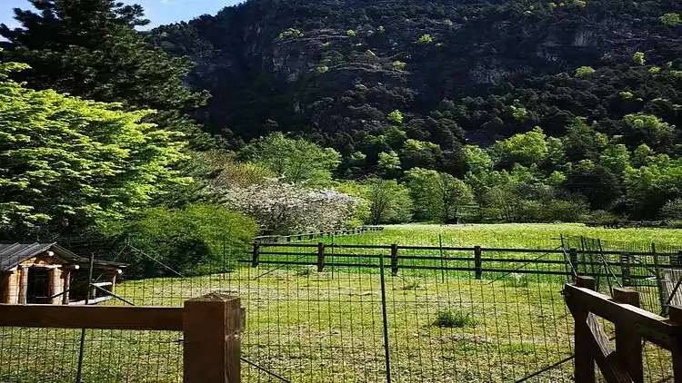 Cottage in Antey-Saint-André