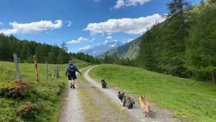 Hytte i Großkirchheim