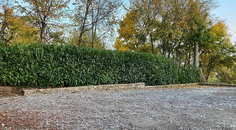 LaLo Holiday House,  the holiday home that's right for you.