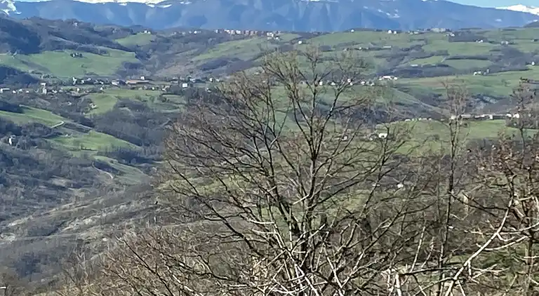 LaLo Holiday House,  the holiday home that's right for you.