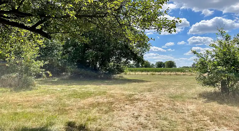 Farm house in Stramproy