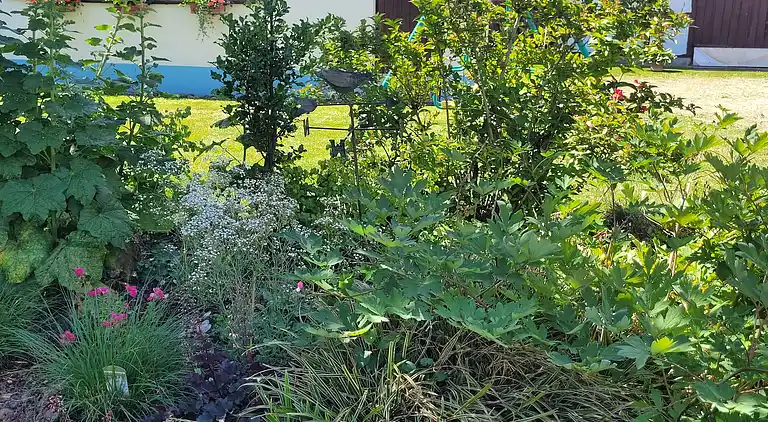 Feriebolig i Wissembourg