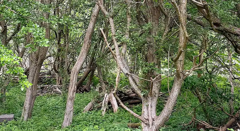 Semesterbostad i Højby