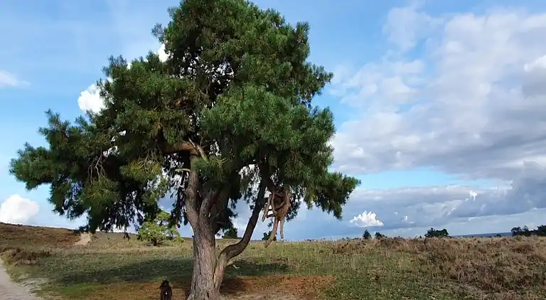 Vakantiehuis in Hattemerbroek