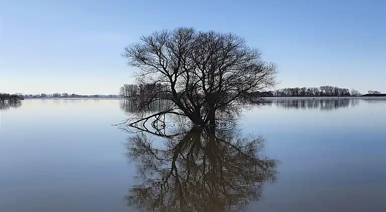 Vakantiehuis in Hattemerbroek