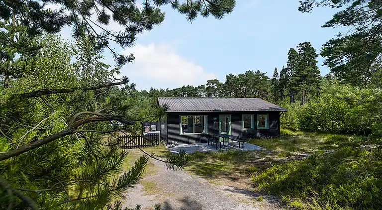 Naturskønt sommerhus nær skov og strand