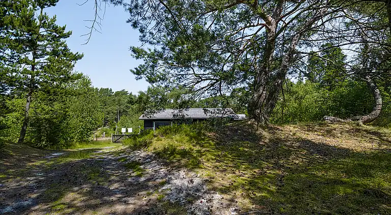 Naturskønt sommerhus nær skov og strand
