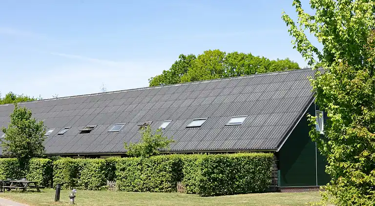 Semesterbostad i Rheezerveen