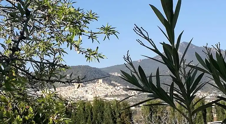 Sommerhus i Moratalla