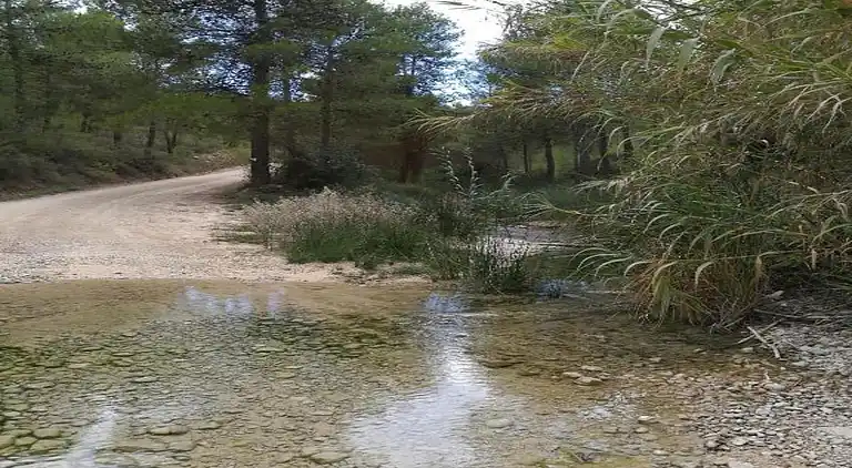 Sommerhus i Moratalla