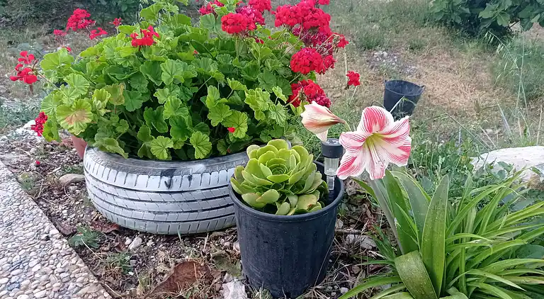 Relax rural house for 6 people with private pool